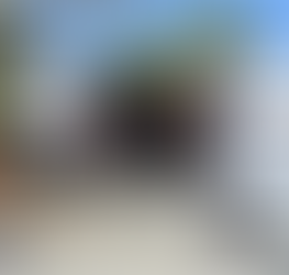 Abaten a ‘Don Zefe’ en Nuevo León