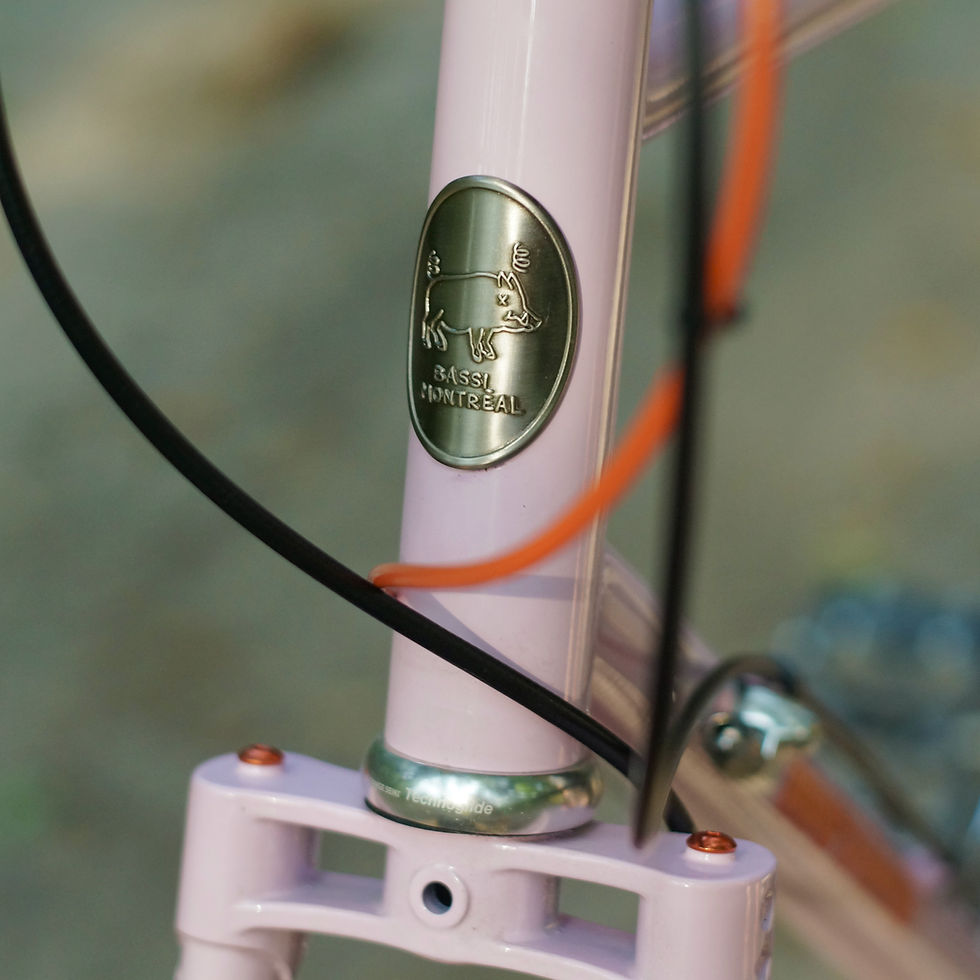 Thumbnail: Bassi Bikes Hog's Back Gravel Tourer 650b