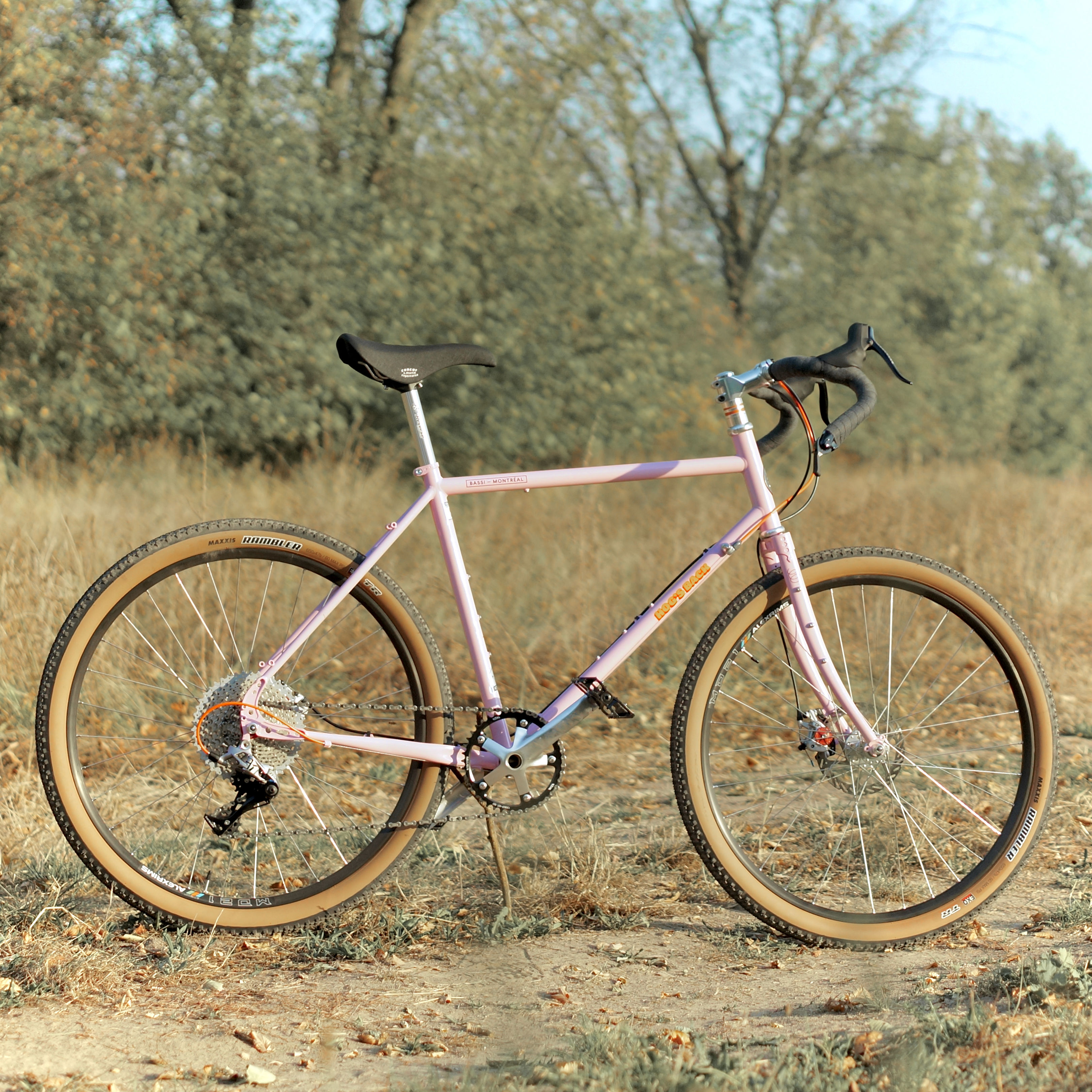 Bassi Bikes Hog's Back Gravel Tourer 650b