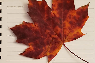 MapleLeaf&Calendar_edited.jpg