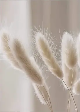 épi studio のブランドストーリーのイメージ画像