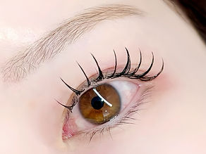 W flat lash (extension)
