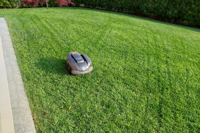 robot rasaerba