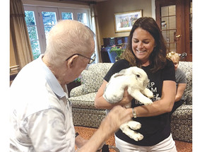 Cleaning up mess some bunny owners leave behind