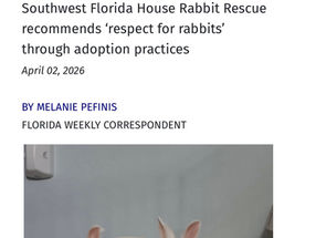 Easter promotes hare raising respect