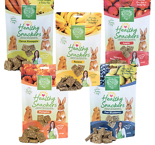healthy snackers.png