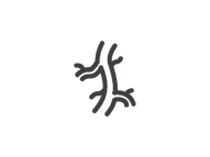 15.png