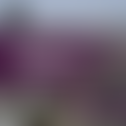 Hurricane Katrina and Hospital Preparedness: Lessons in Organizational Resilience