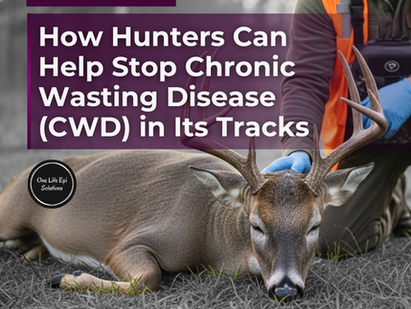 How Hunters Can Help Stop Chronic Wasting Disease (CWD) in Its Tracks