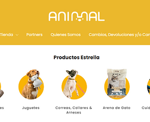 Screenshot 2025-11-01 134911.png