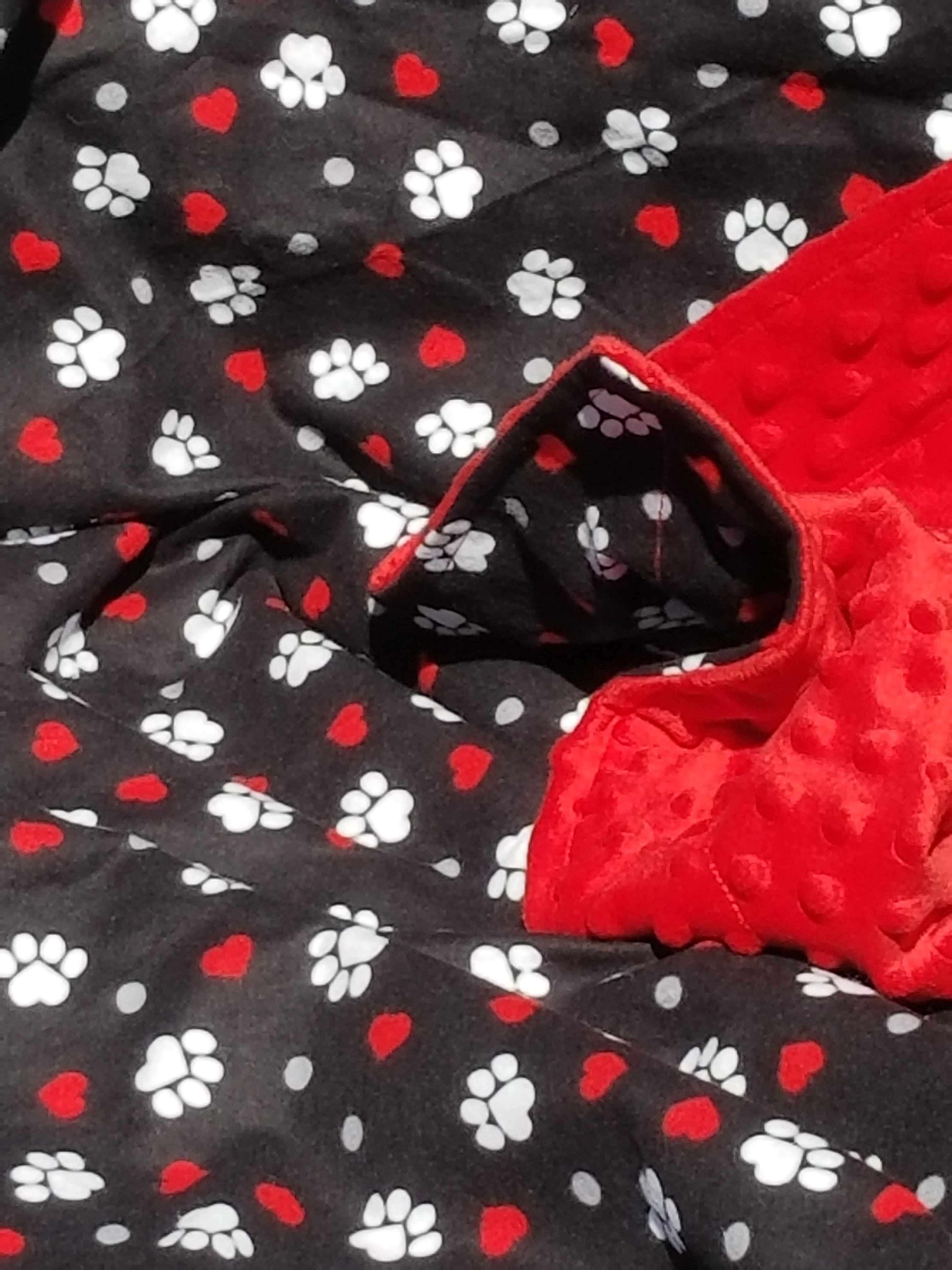 Paw Print Flannel with Red Minky Dot 