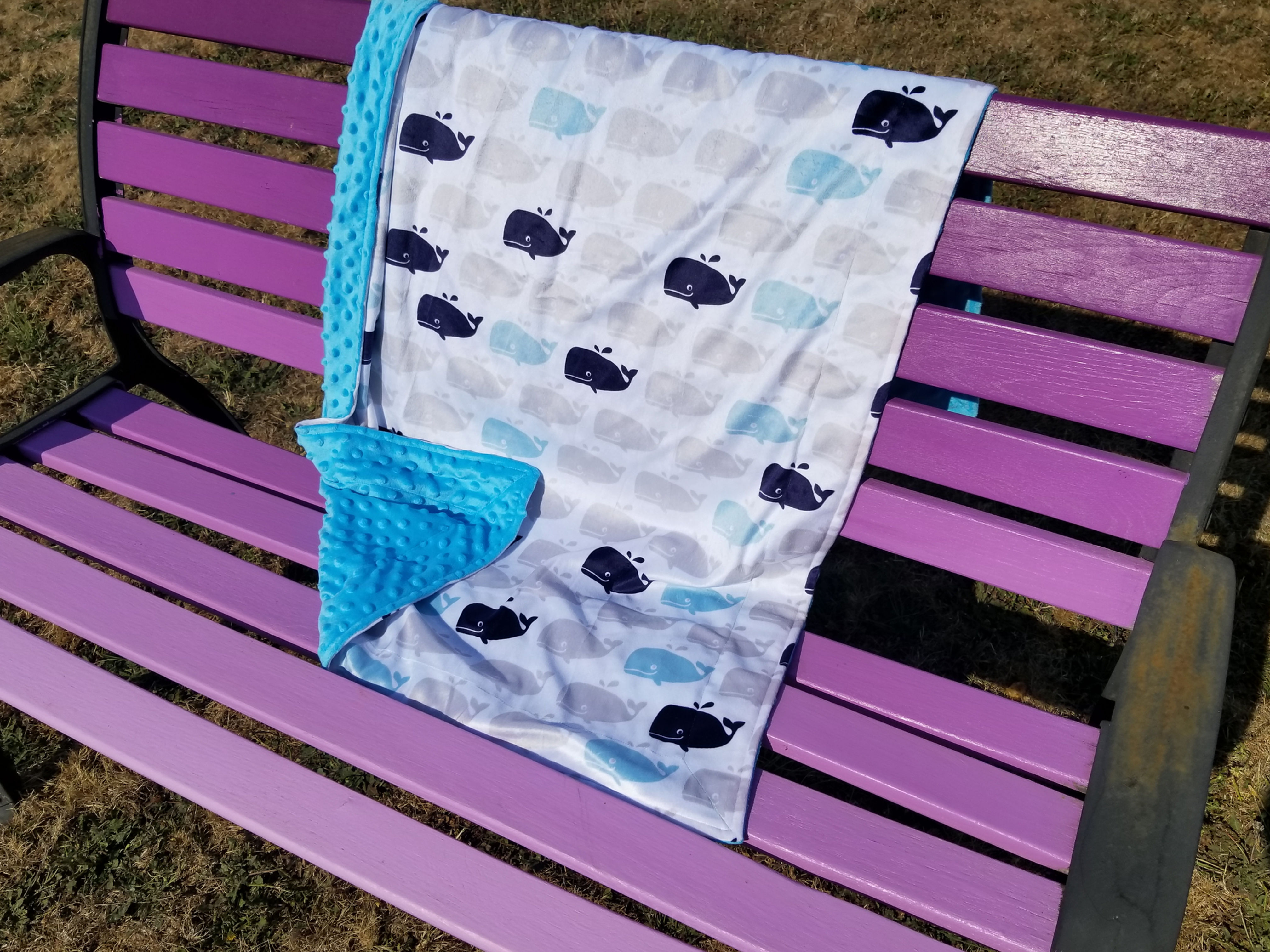 Whale Minky with Blue Minky Dot 