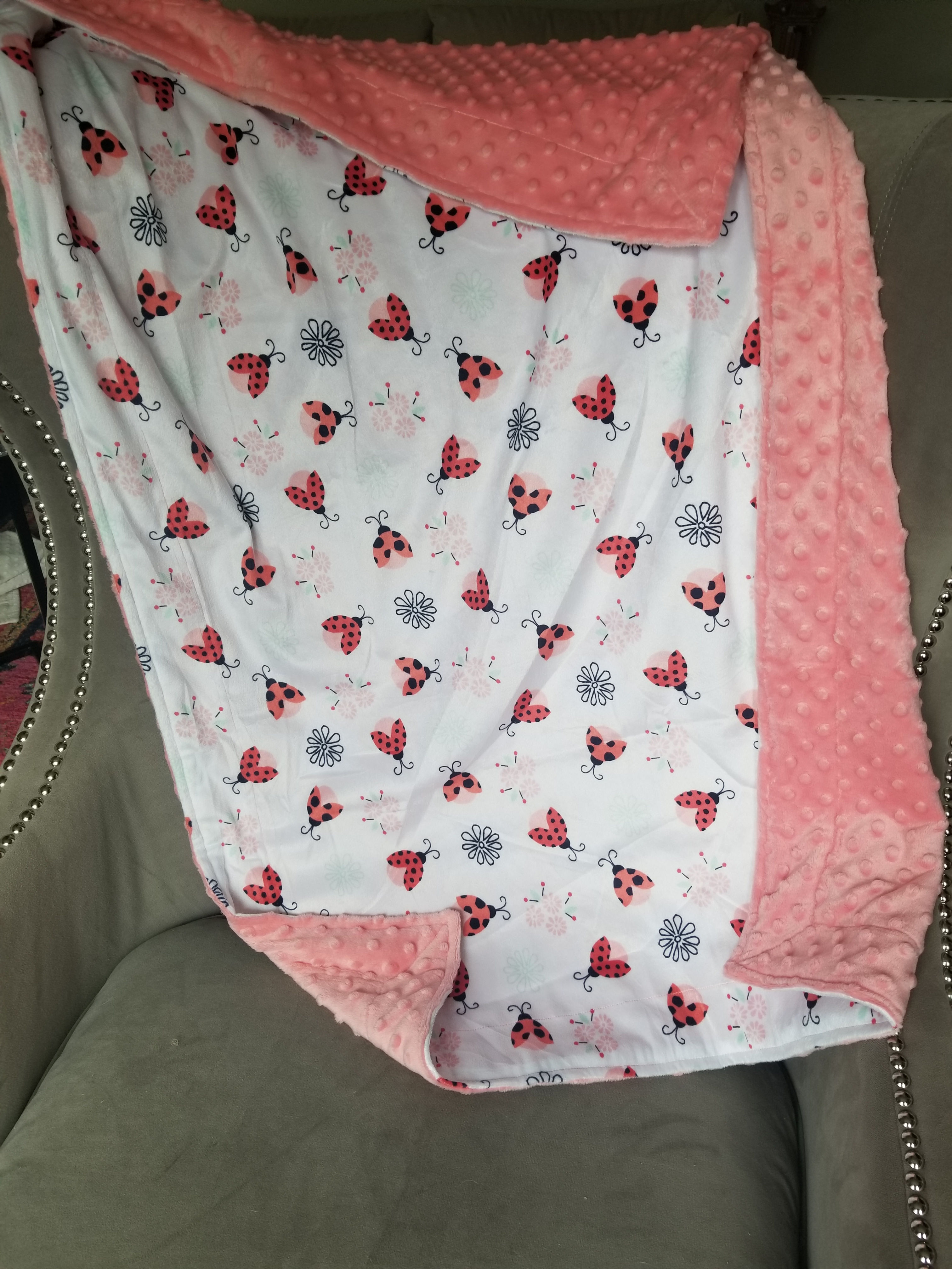 Lady Bug Minky with Coral Minky Dot 