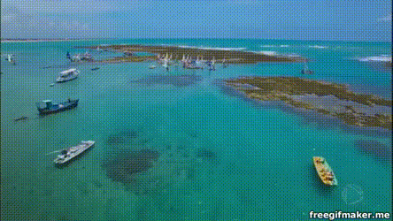 Piscines naturelles Porto de Galinhas.gi