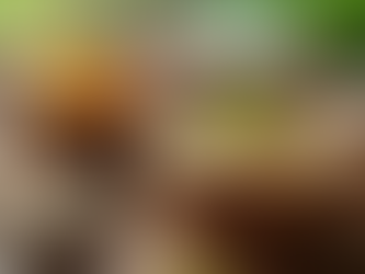 Why Organic Skincare is Perfect for Sensitive Skin