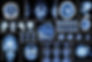 AdobeStock_94425844_Preview.jpeg