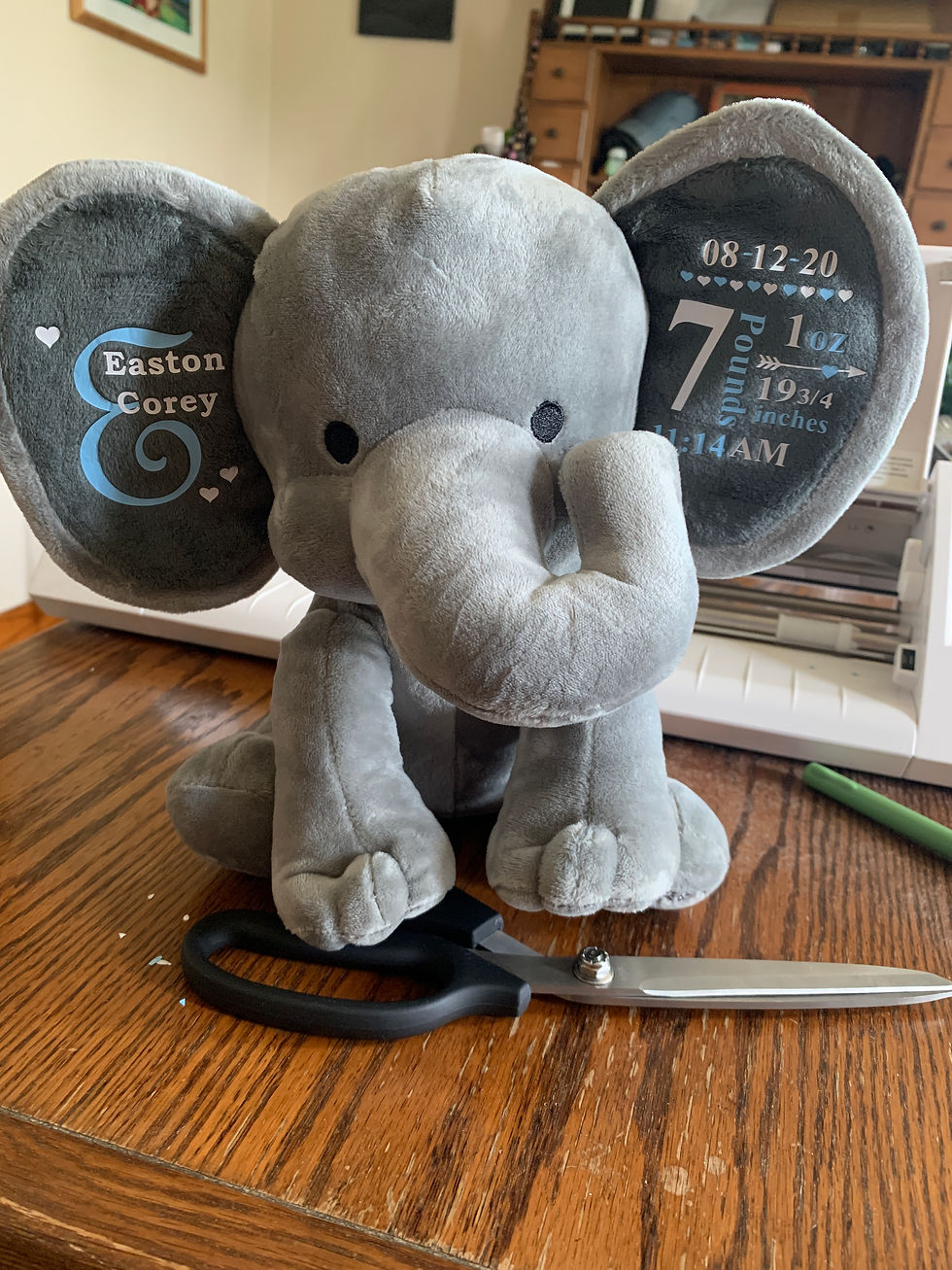 62110687940__CBC82DC3-CEA0-4C74-8260-9B72A7480312