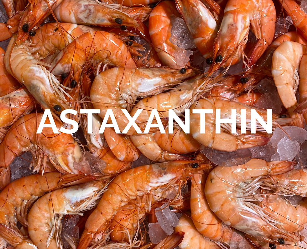 Image of prawns to depict a source of astaxanthin
