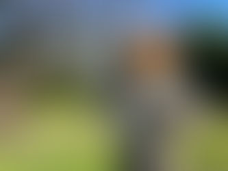 11月7日10:00にネットで集合だよ!