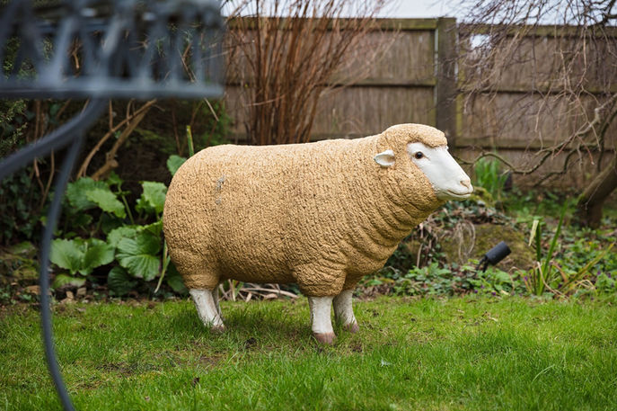 fake plastic sheep stood on grass