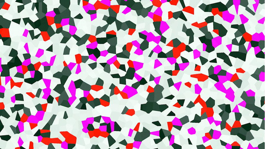 Video 12.09.gif