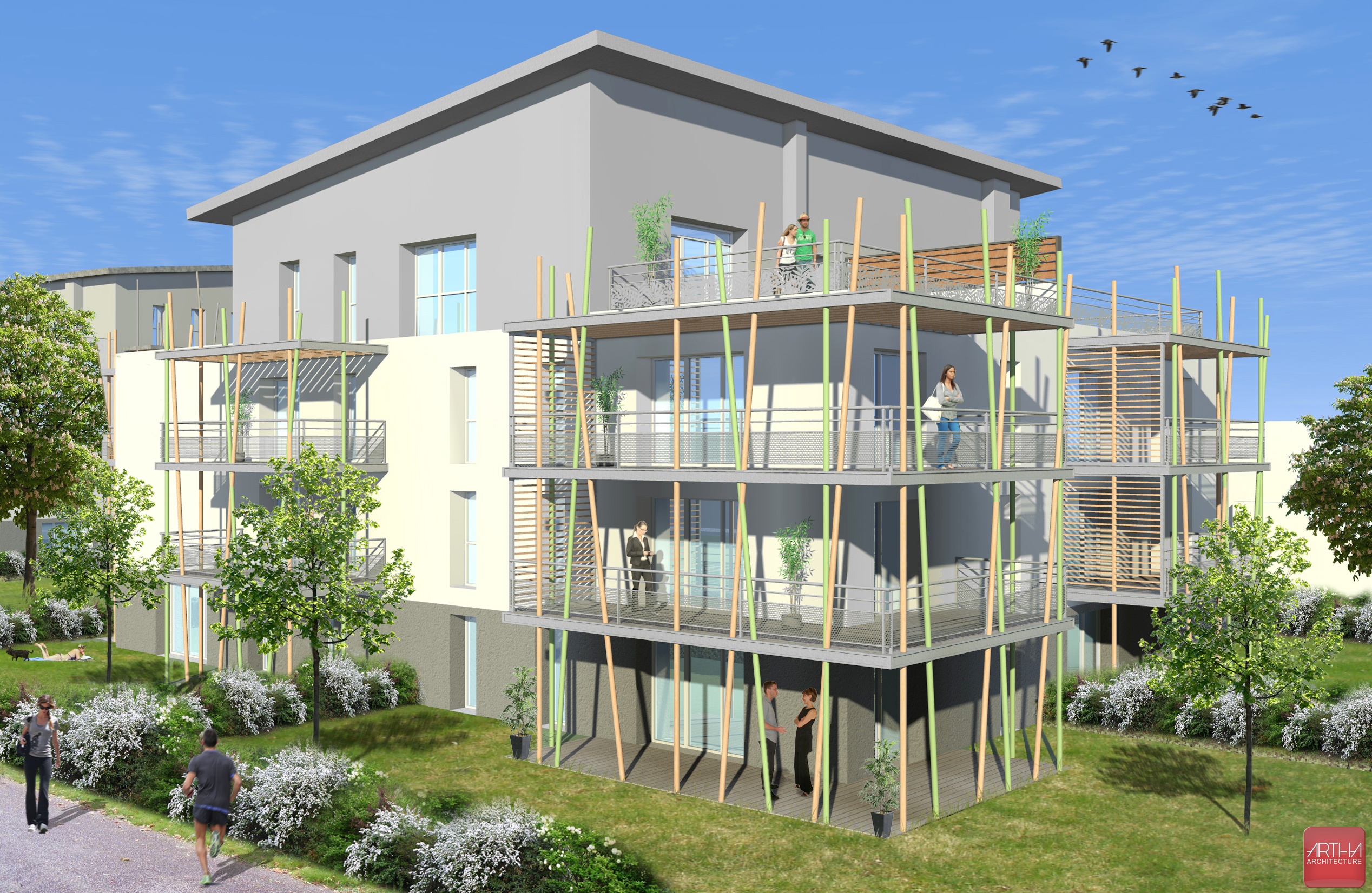 visuel l'albizia
