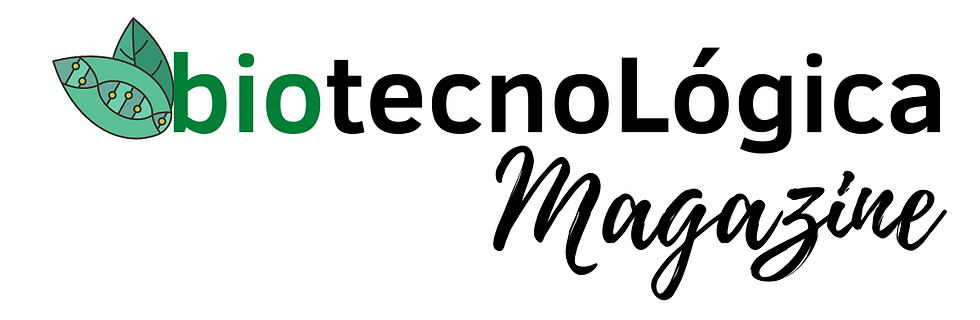4 (1).png