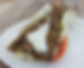 Gyro Sandwich.jpg
