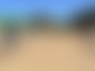 Una nueva edición del Concurso Morfológico del Galgo Español reúne a multitud de participantes