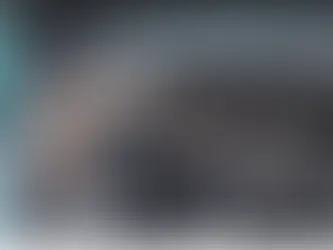 Pillan a un furtivo con una liebre escondida en el capó