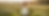 Gemini_Generated_Image_hk112phk112phk11.png
