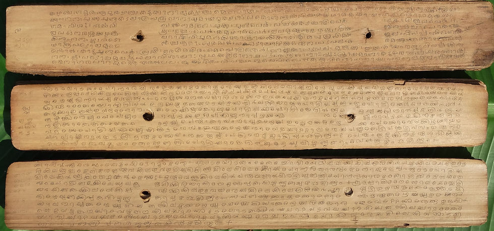 Ayurveda Palm Buch - Ayurvaidya.de
