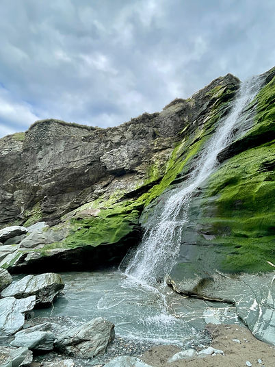 nature sauvage