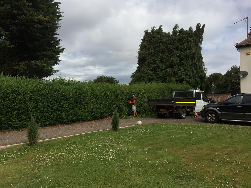 Suffolk Maintenance