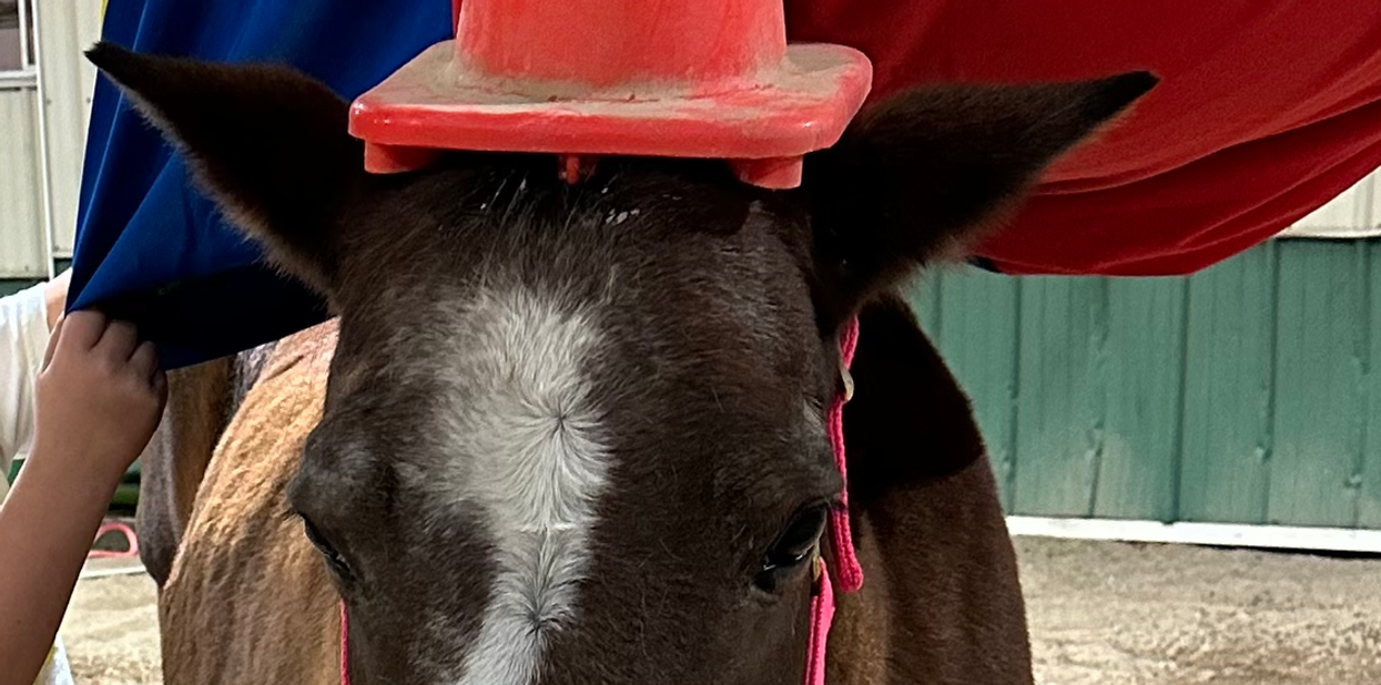 IMG_1745.heic