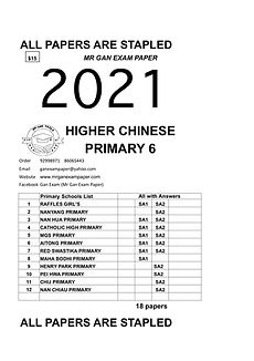 P6 HCHI 2021 . jpeg.jpg