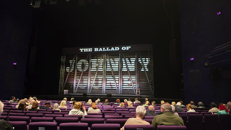Audience sits in purple theater seats facing a stage with THE BALLAD OF SCOTTY and a lone stool under dim lights.