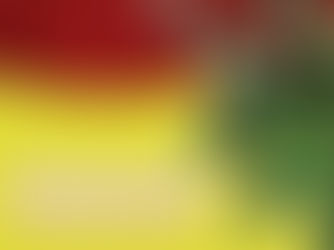 REVIEW - TRICERATOPS: EAT, ROAM, REPEAT | MANCHESTER MUSEUM