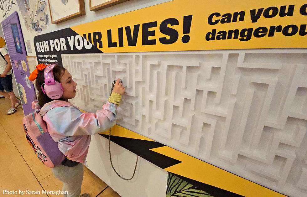 In The Quentin Blake and Me Exhibition A young girl with headphones plays at a wall maze game. Yellow and black text says "RUN FOR YOUR LIVES!". She's focused and engaged.