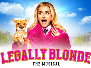 Blonde woman in pink fur coat holding a small dog, looks surprised with "Amber Davies as Elle Woods" and "Legally Blonde The Musical" text
