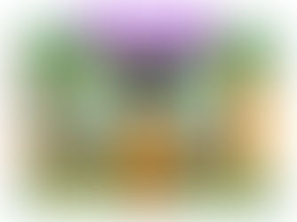 REVIEW – BRAVE BETTIE AT Z-ARTS MANCHESTER – A MAGICAL MORNING OF STORYTELLING AND ADVENTURE 🌳✨