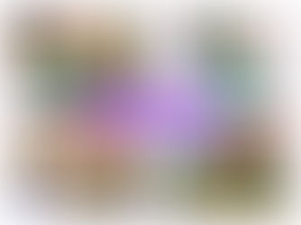 Collage: St. Patrick's themed food, a boy in a green hat and shirt smiling, and children preparing food. Text: Weekly Update 16th-22nd March 2026.