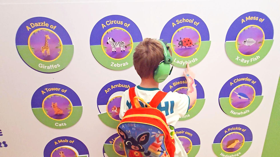 Child with green earmuffs points at colorful animal word wall with circular labels like Giraffes, Zebras, Ladybirds and X-Ray Fish