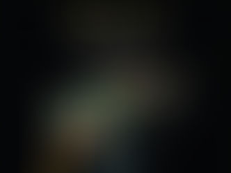 REVIEW - BEES: A STORY OF SURVIVAL EXHIBITION | WORLD MUSEUM, LIVERPOOL | 13/08/2025