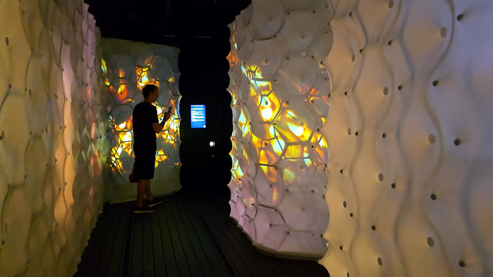 Bees: A Story of Survival exhibition - Person with a phone in a dark room with glowing, textured walls displaying colorful patterns. A small screen shows text in the background.