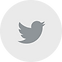 Twitter Clean Grey