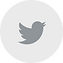 Twitter Clean Grey