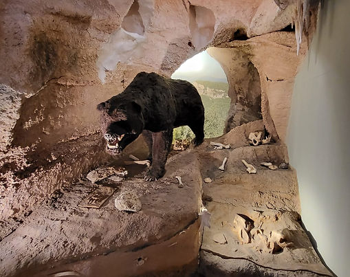 Museo Archeologico del Finale