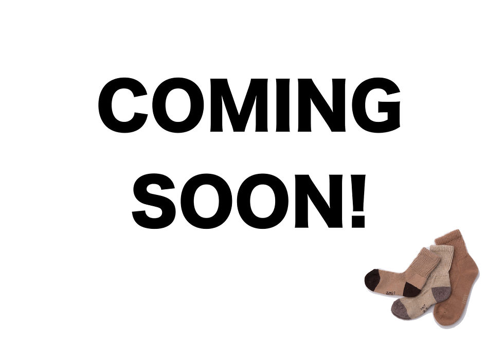 公開前の限定公開はこちらからチェックしてください。⬇︎