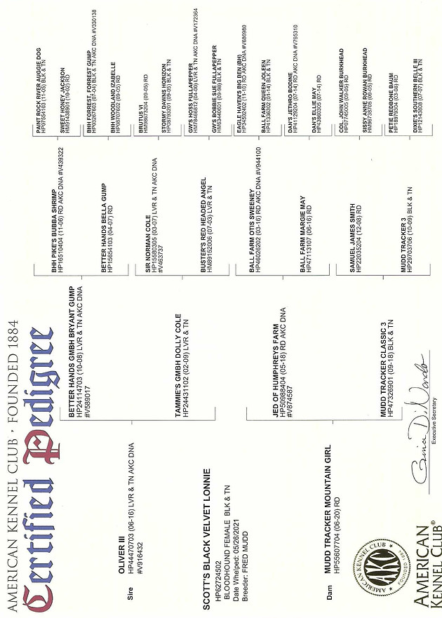 Lonnie Pedigree picture.jpg